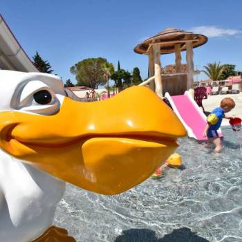 camping masdeslavandes piscine enfantp