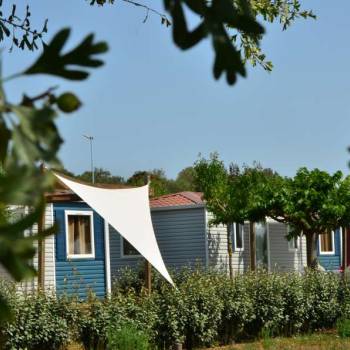 Domaine Sainte Veziane